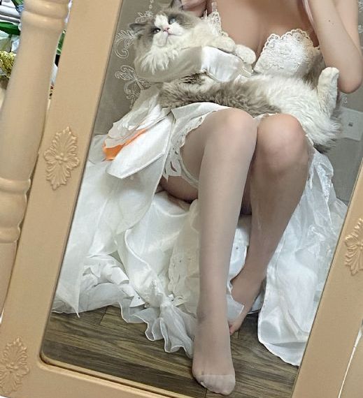 avtt一区二区三区_BD免费观看视频