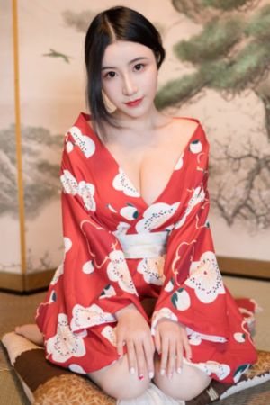 欧美私人双螺旋桨飞机_1080P日韩免费观看