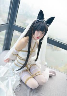 欧美整片g_1080P高清在线观看